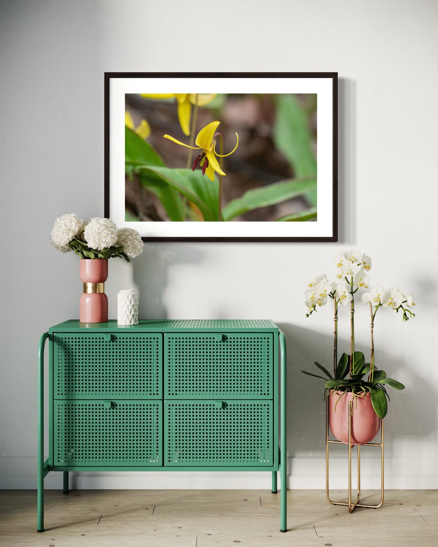 Trout Lily II
