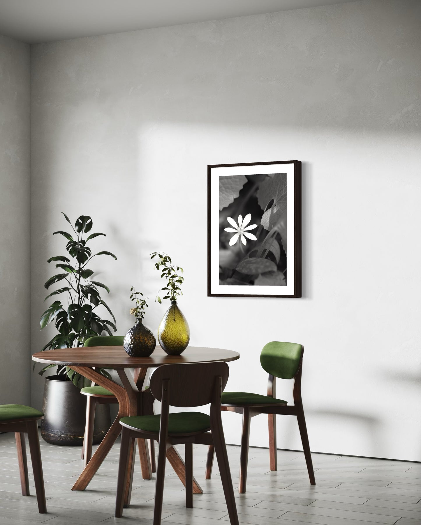 Bloodroot Black and White