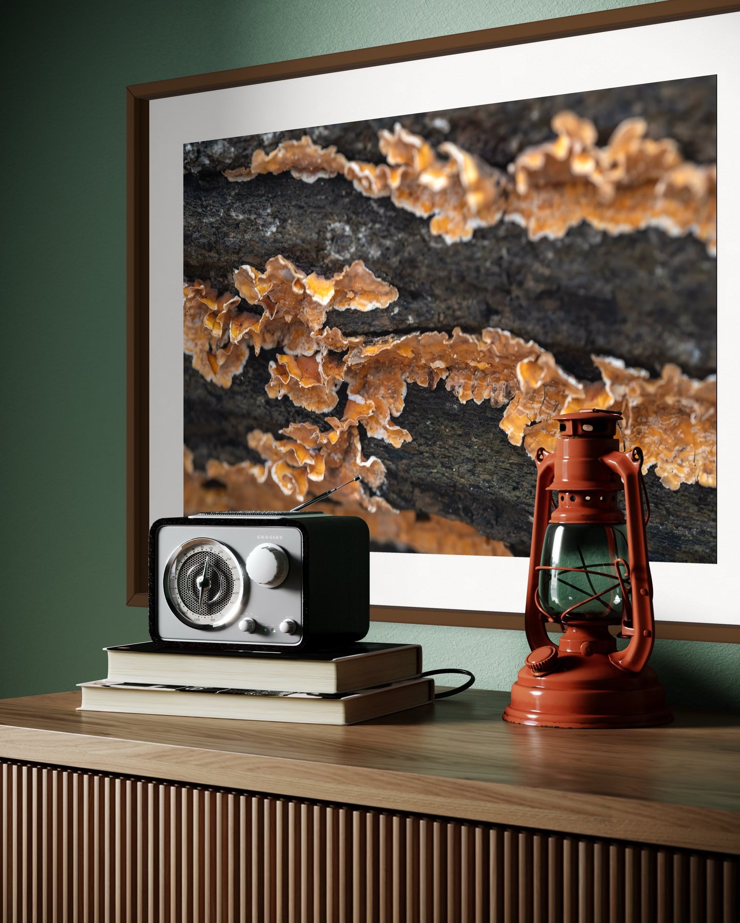 Mushroom on a Log