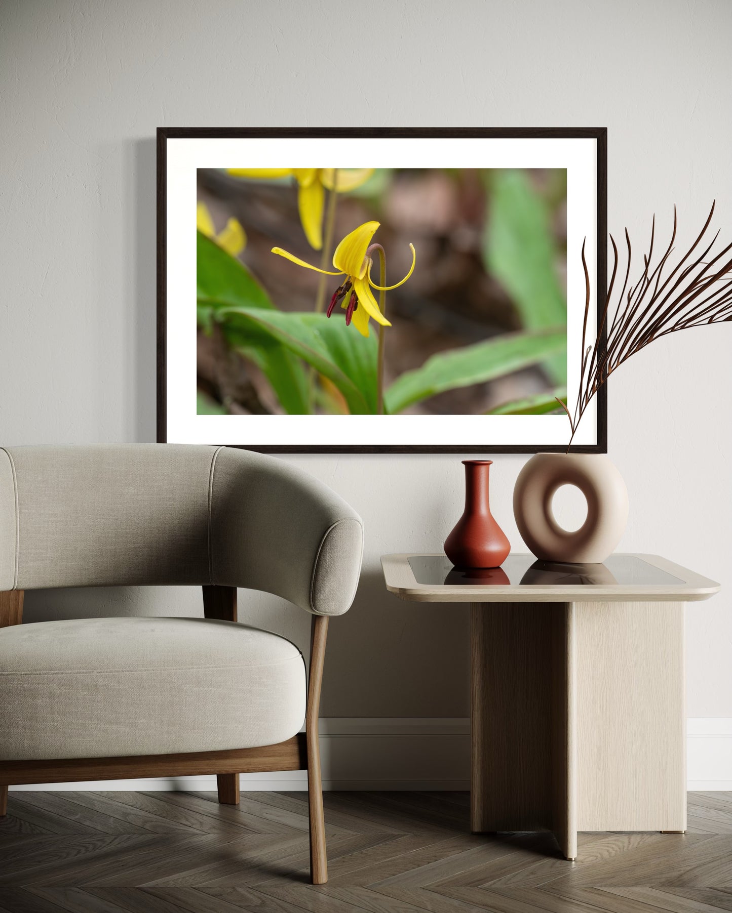 Trout Lily II