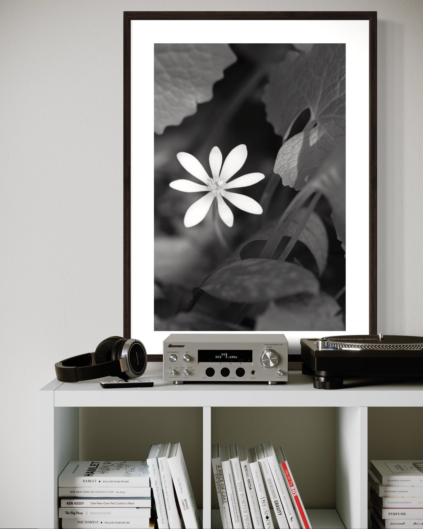Bloodroot Black and White