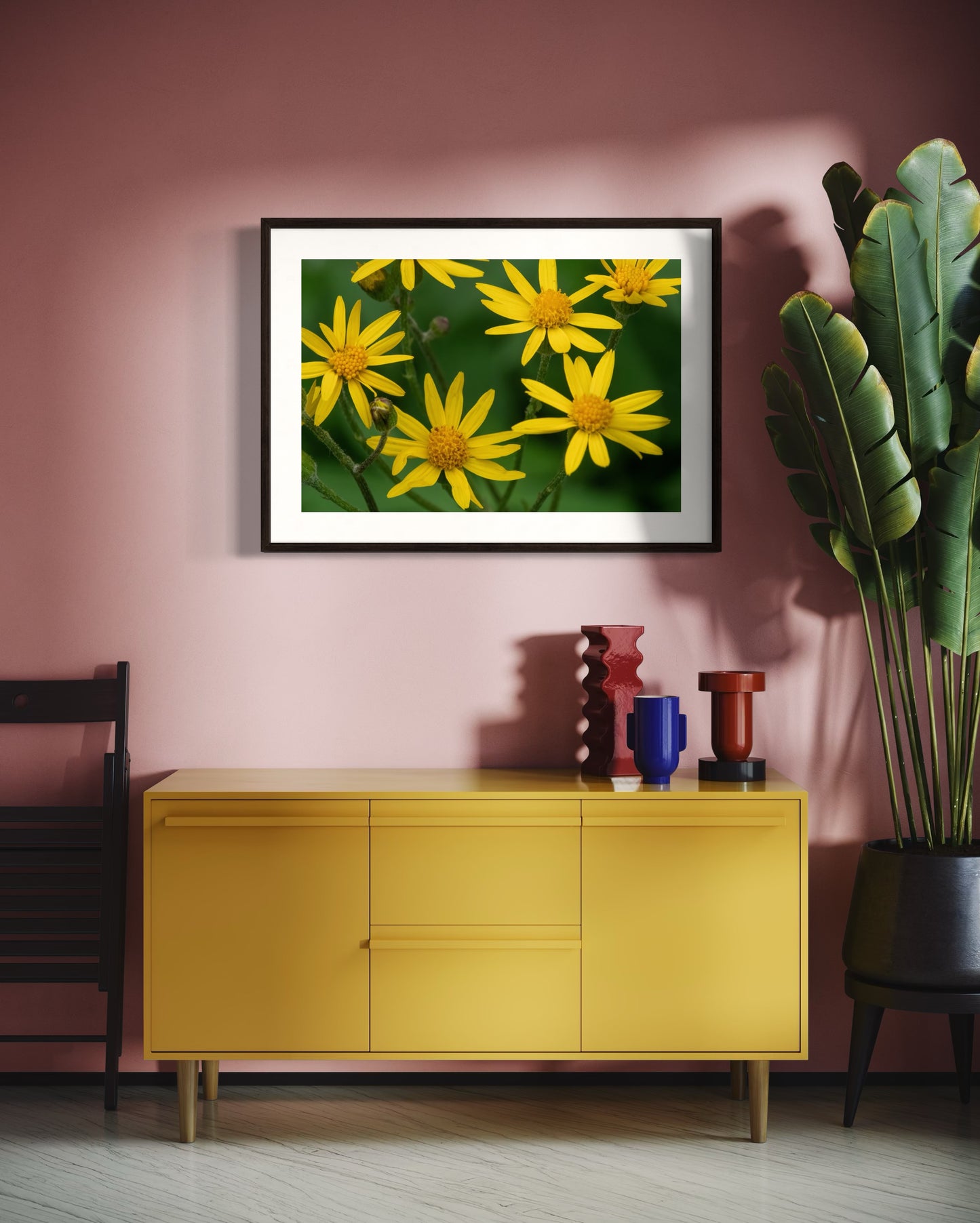 Golden Ragwort