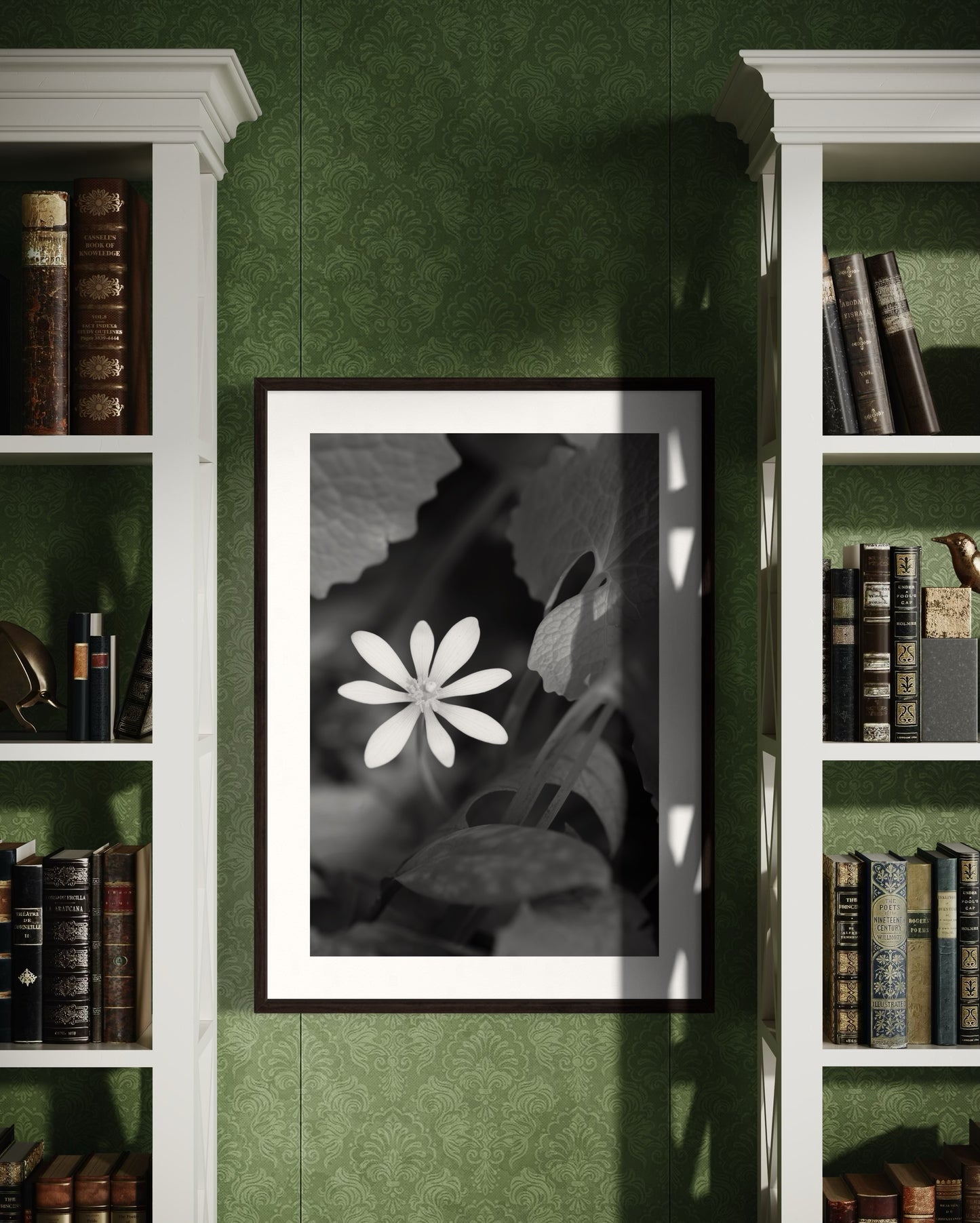Bloodroot Black and White