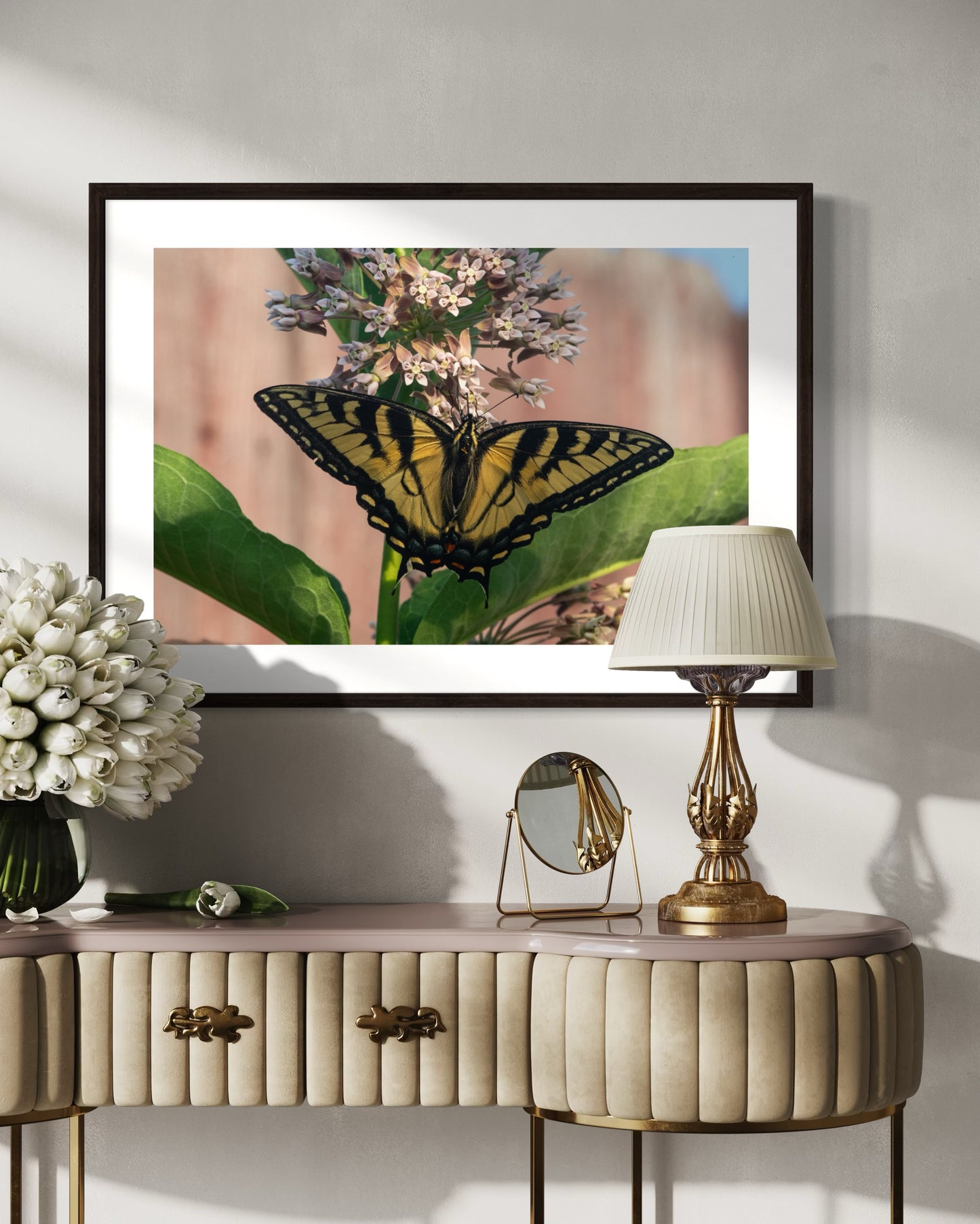 Eastern Swallowtail on Milkweed