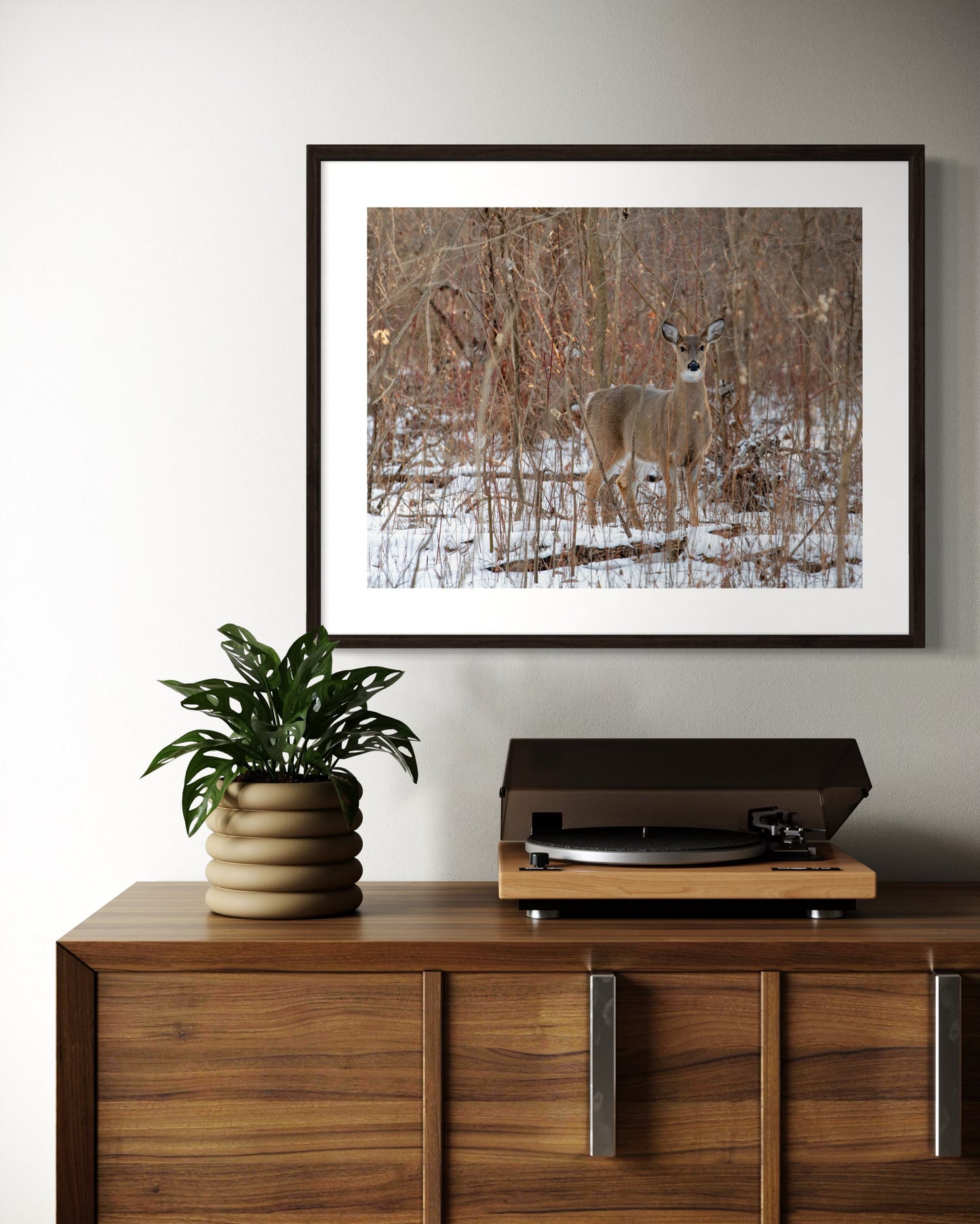Doe in the Winter Forest
