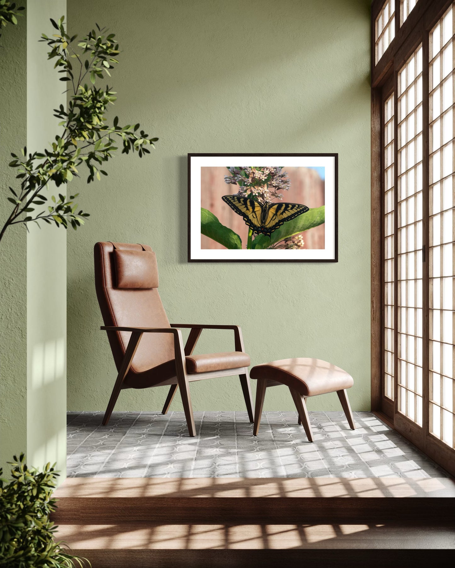 Eastern Swallowtail on Milkweed