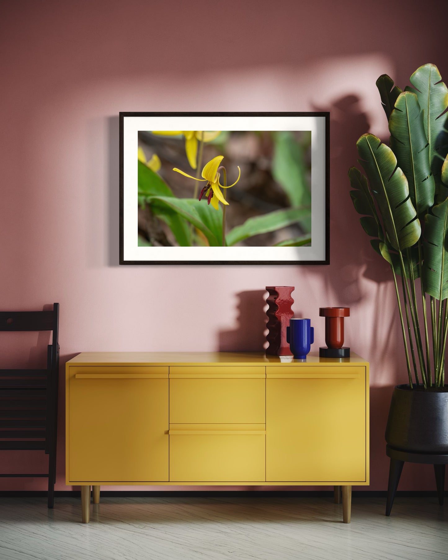 Trout Lily I