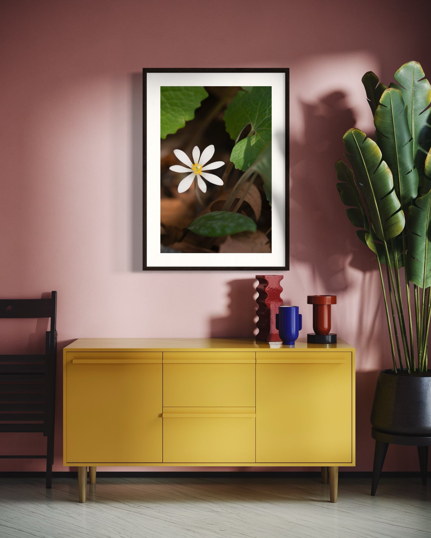 Bloodroot
