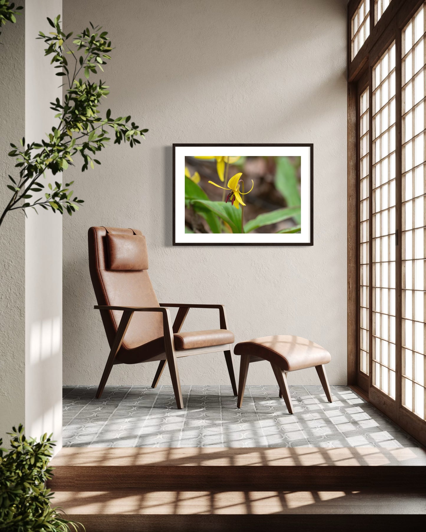 Trout Lily I