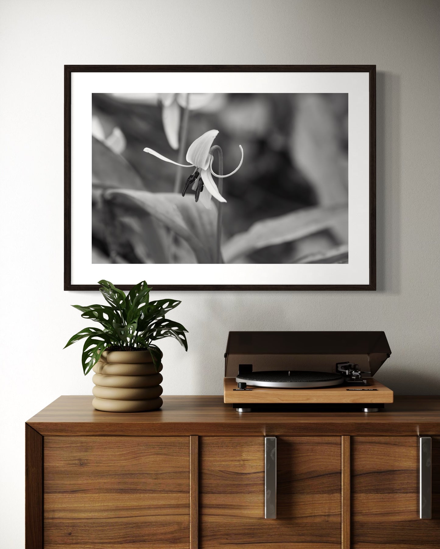 Trout Lily II BW