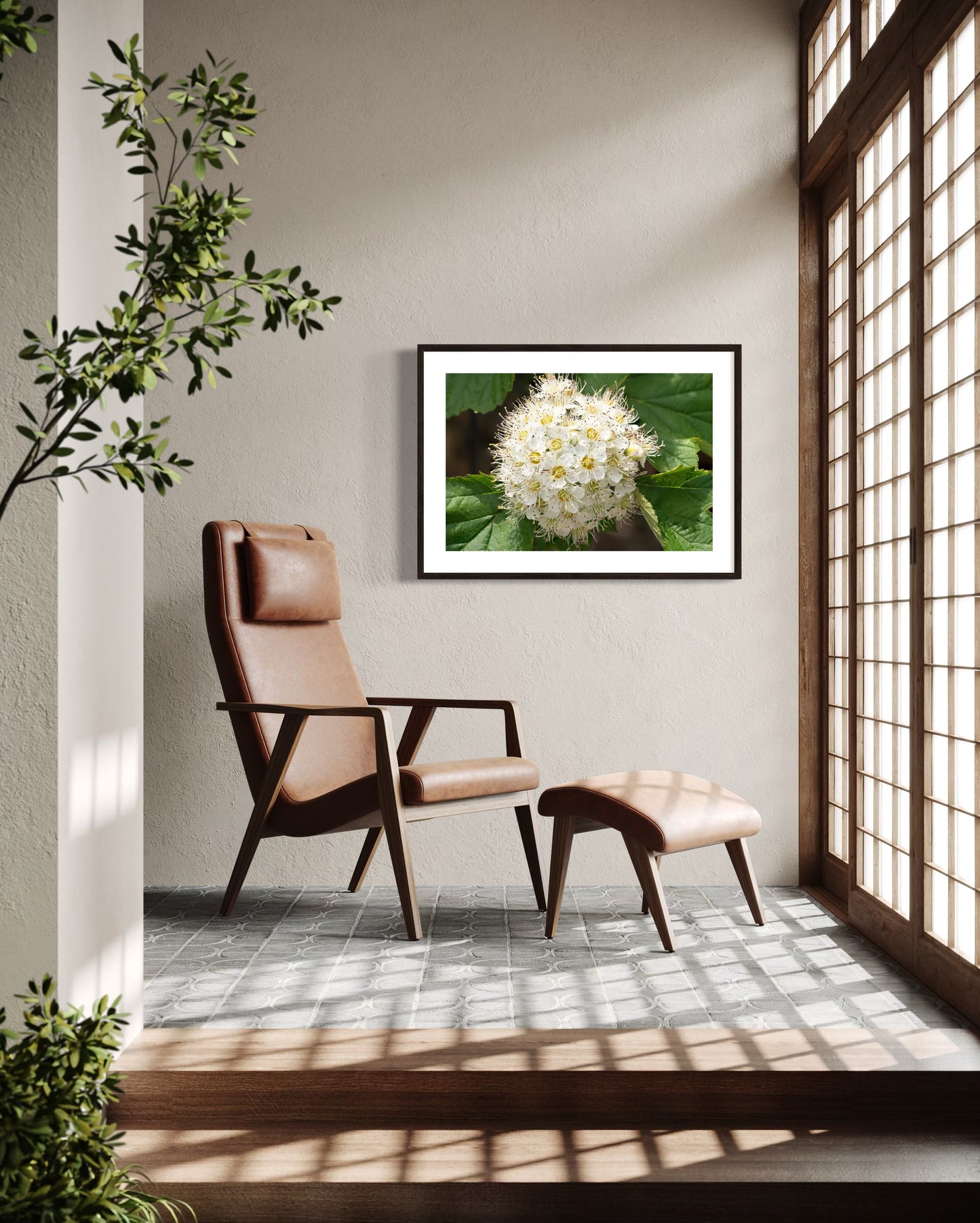 White Heritage Peony