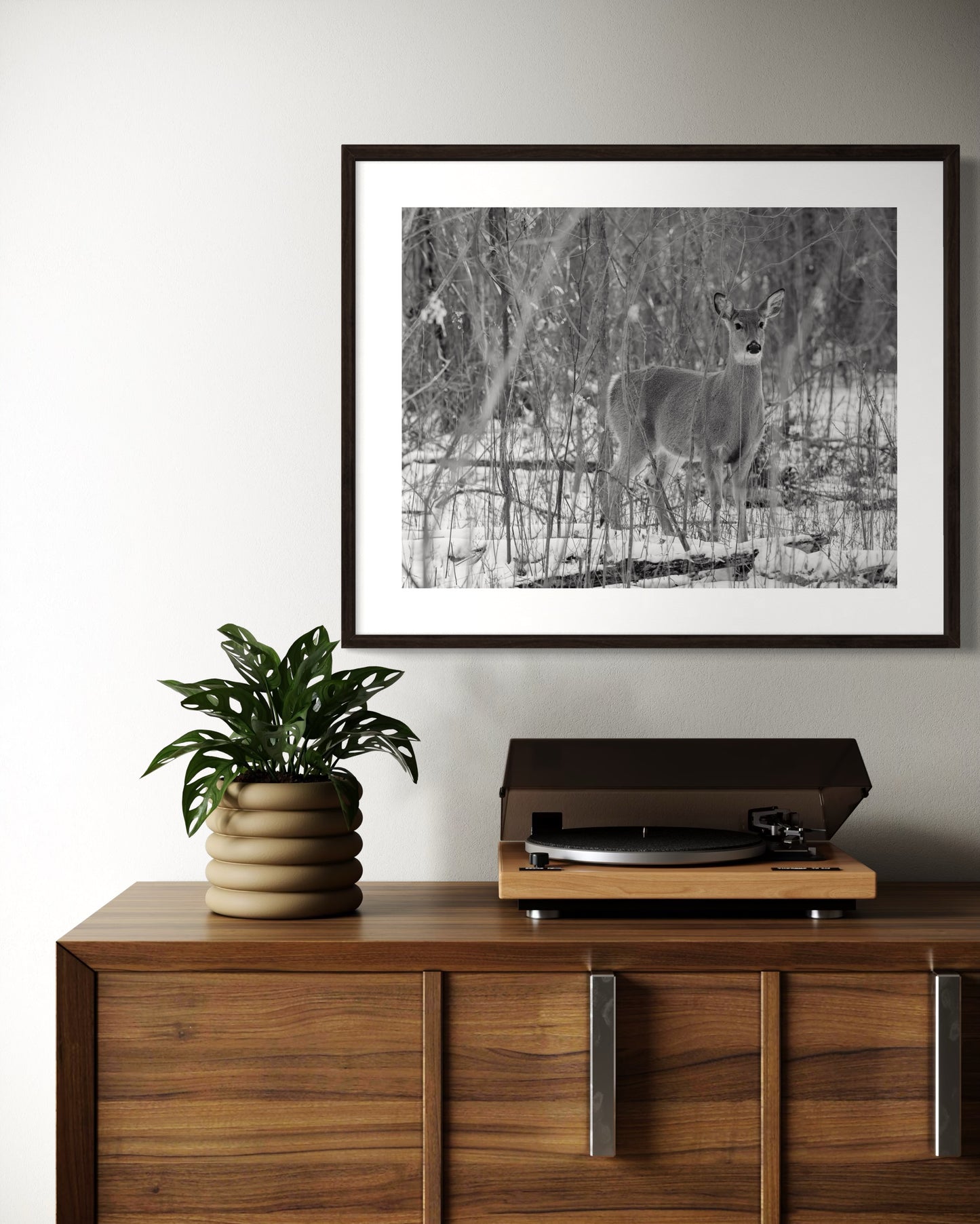 Doe in the Winter Forest
