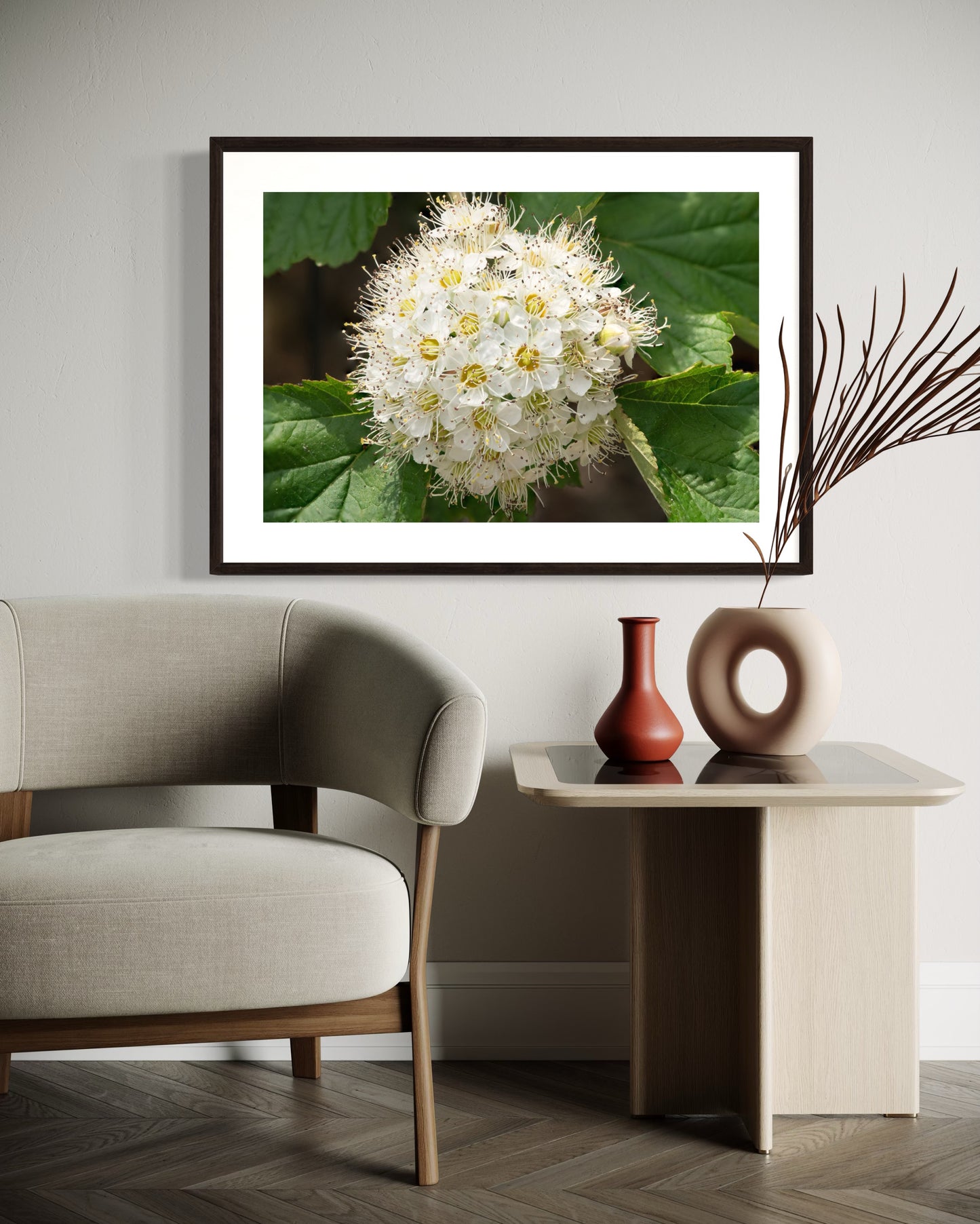 White Heritage Peony