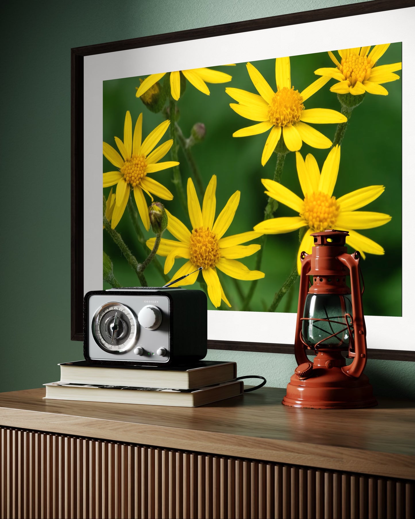 Golden Ragwort
