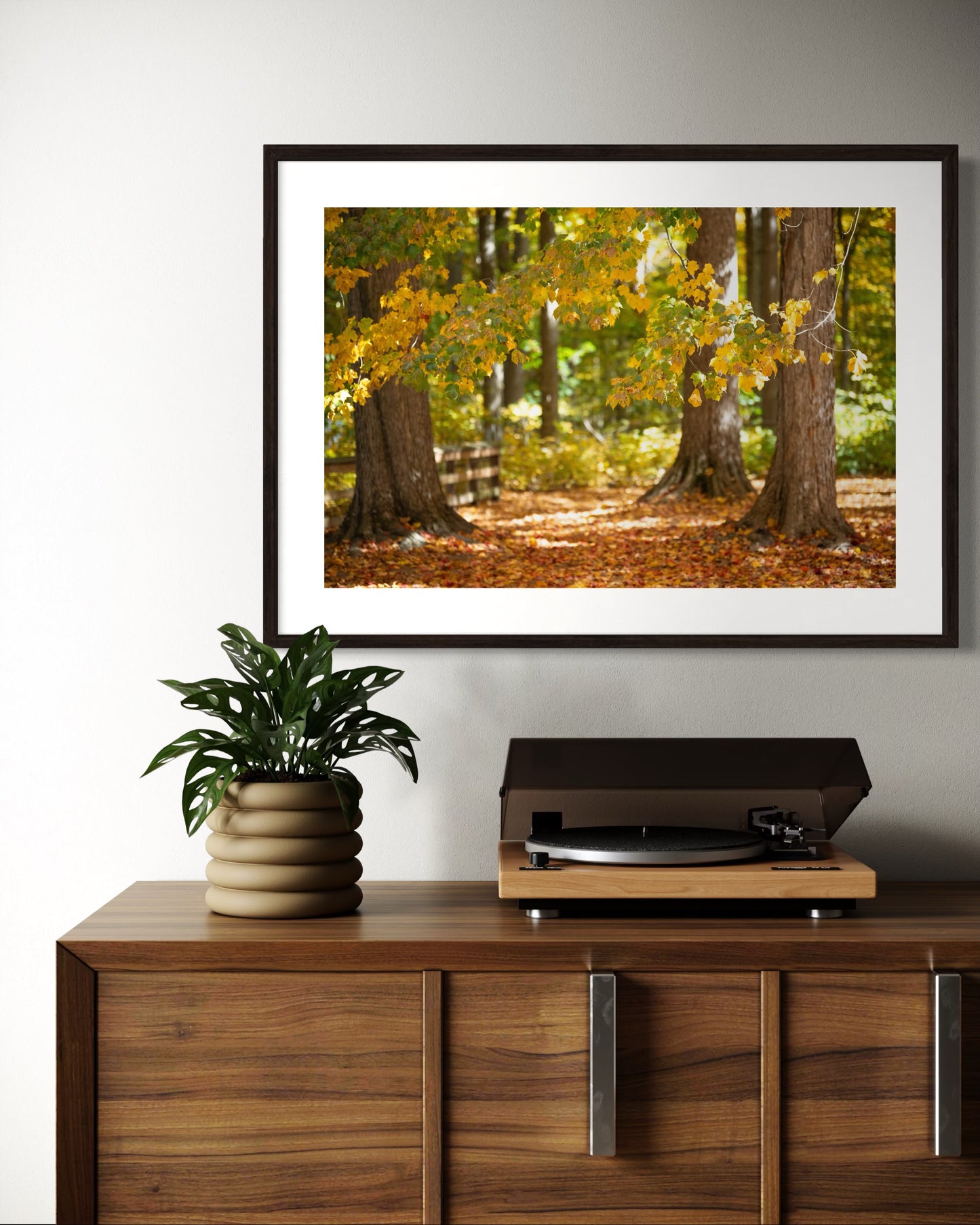 Autumnal Woodland