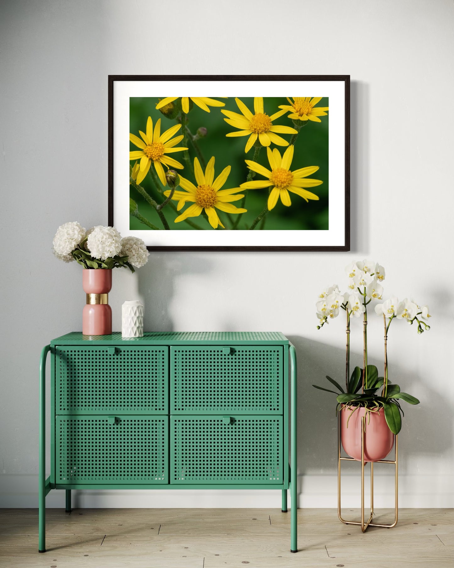 Golden Ragwort