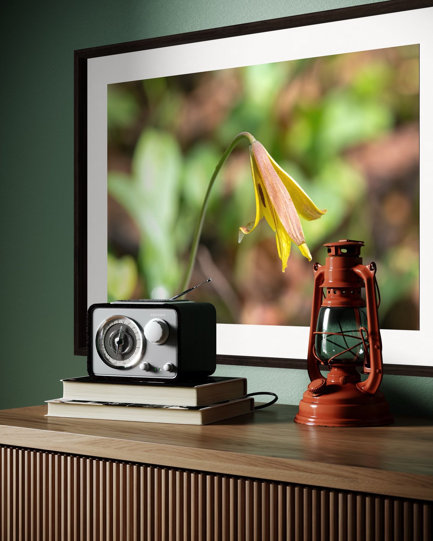 Trout Lily